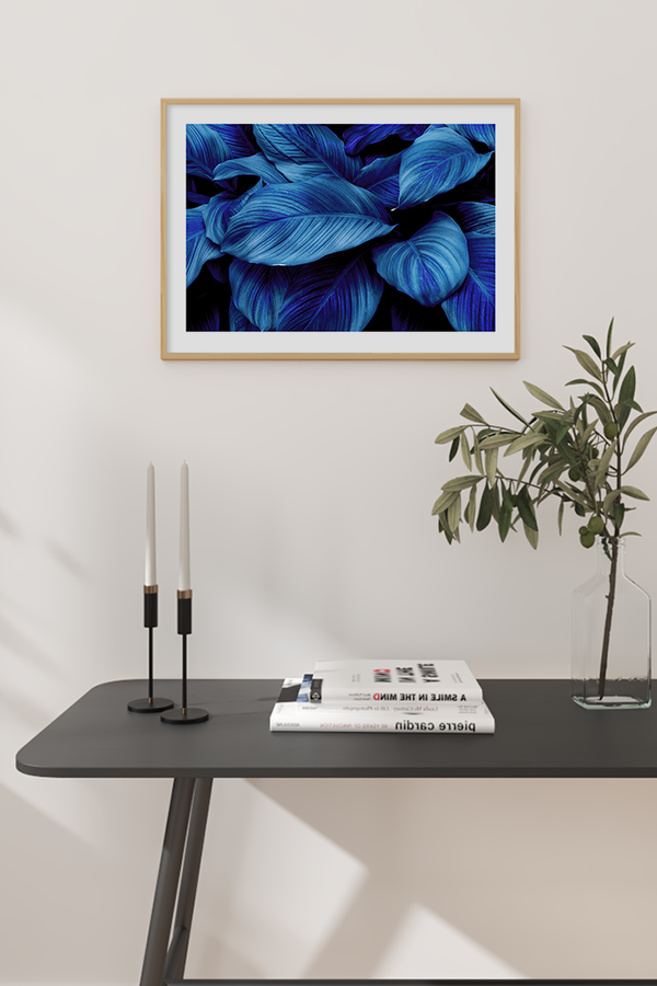 Dark Calathea Leaves Poster