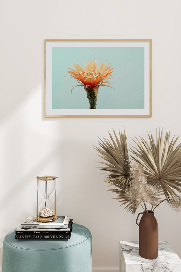 Cactus Flower Poster