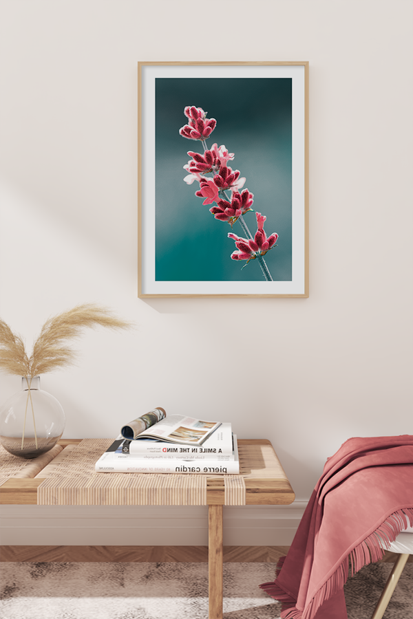 Red Lavender Poster