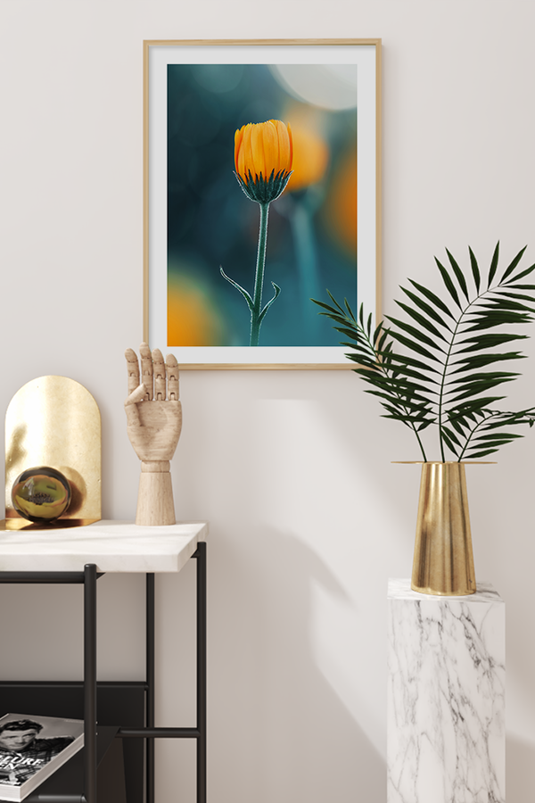 Calendula Poster