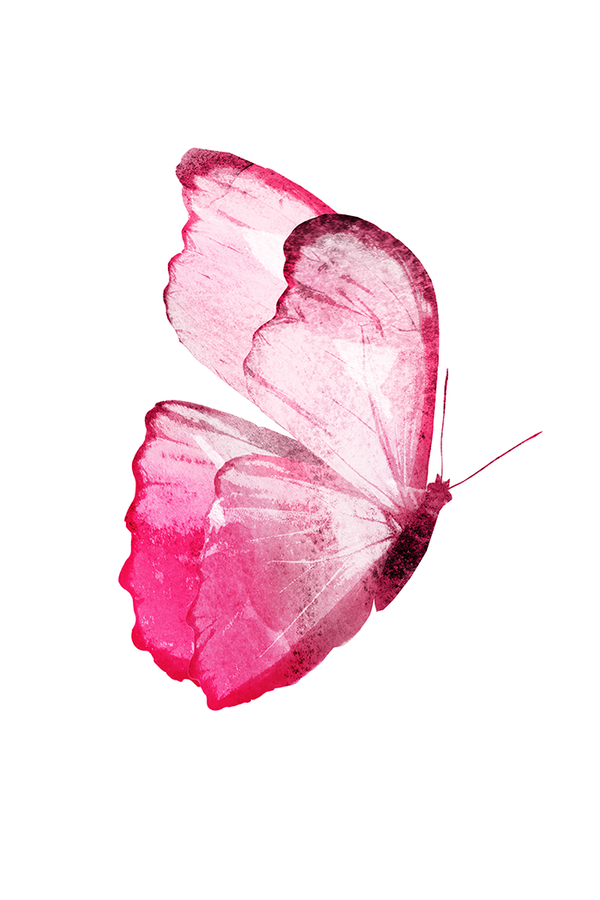 Watercolor Pink Butterfly Poster