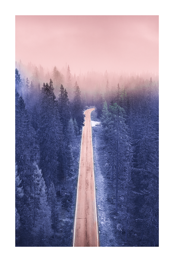 Purple Forest Road Poster