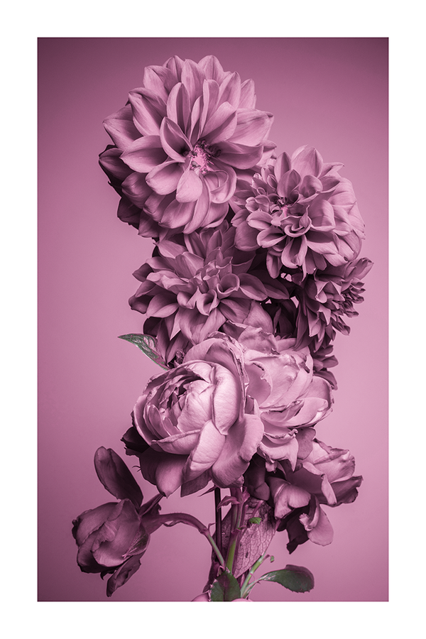 Vintage Purple Flowers Poster