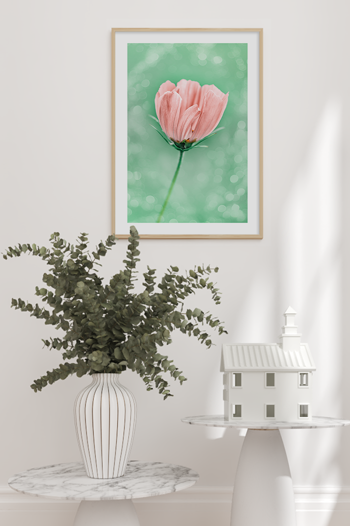 Cosmos Flower Poster