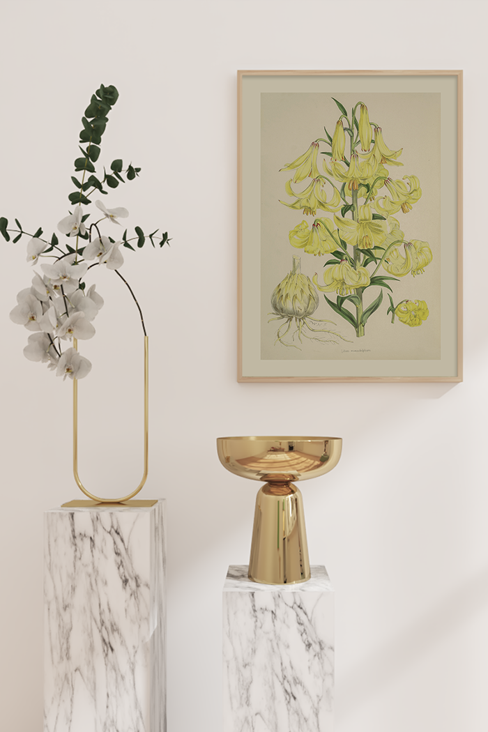 Vintage Yellow Lilium Poster