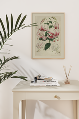 Vintage Pink Lilium Poster