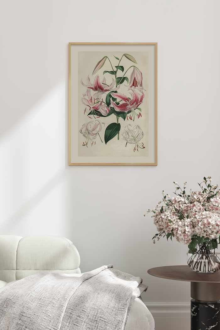 Vintage Pink Lilium Poster