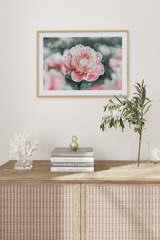 Peony Close UP Poster