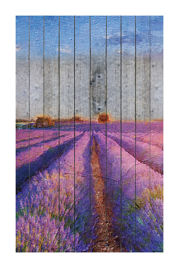 Lavender in Wooden Poster