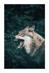 Wolf Poster